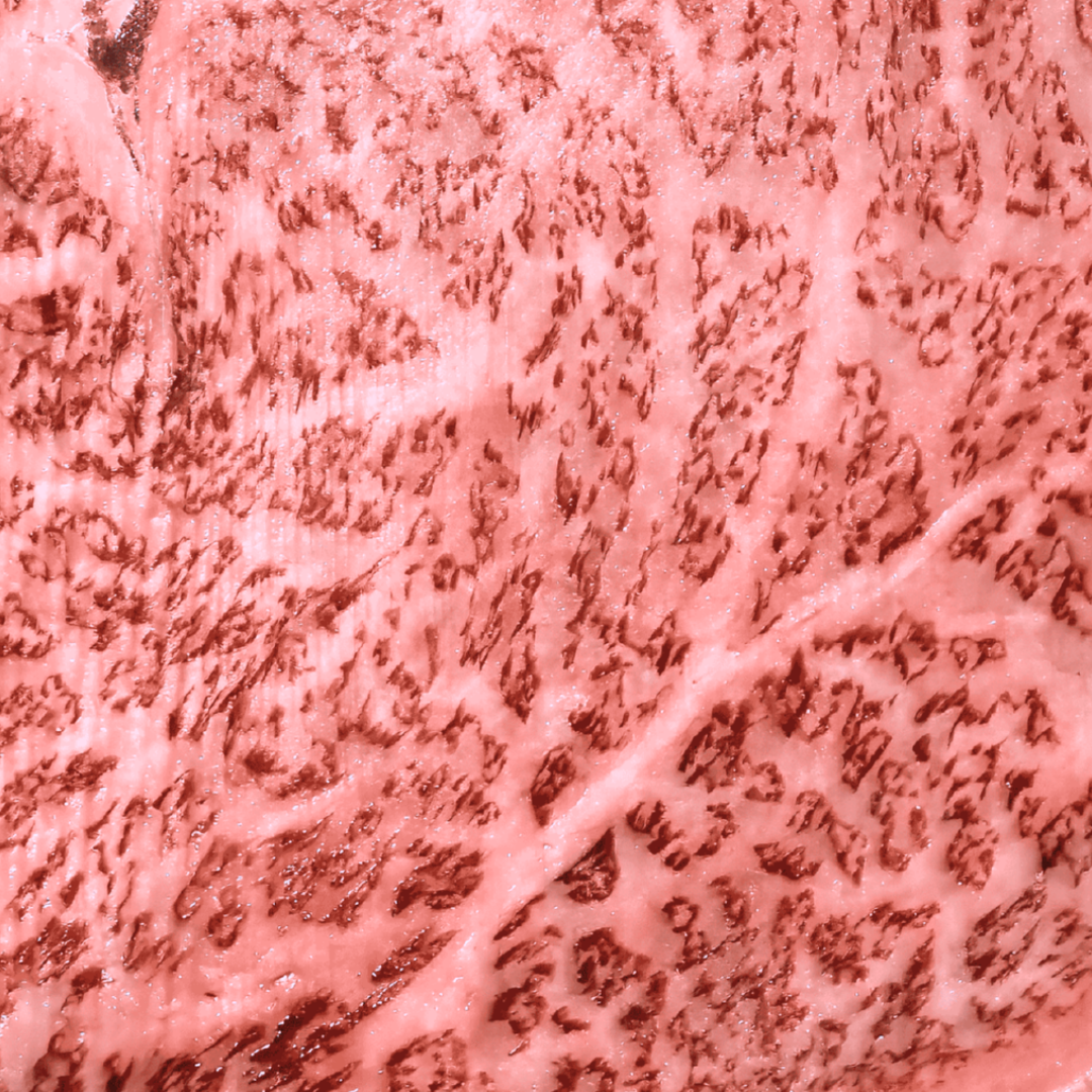 MIYAZAKI WAGYU A5, RIBEYE