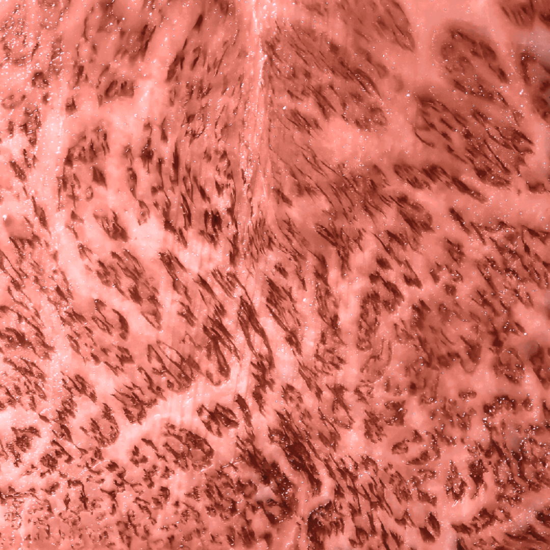 MIYAZAKI WAGYU A5, STRIPLOIN