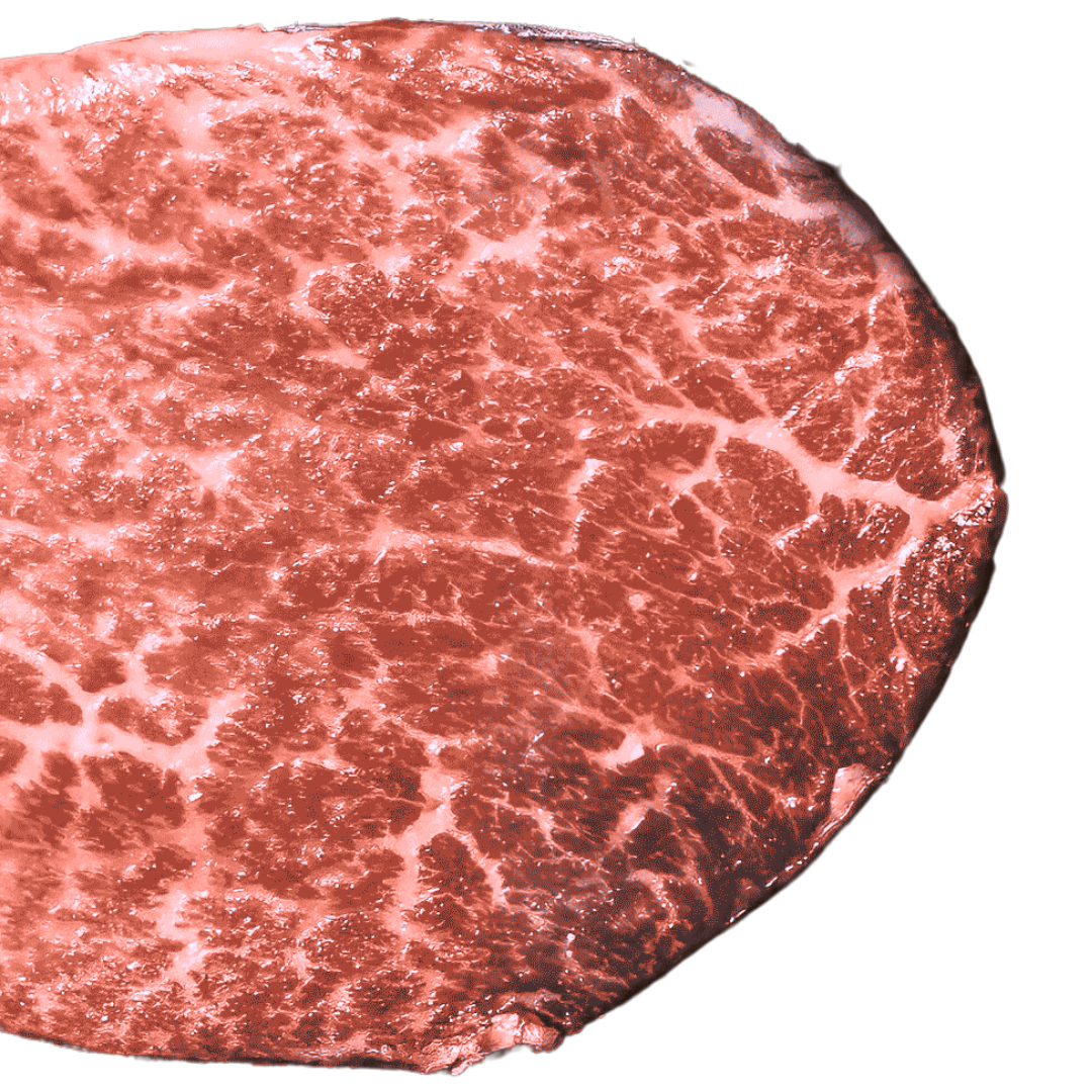 MIYAZAKI WAGYU A5, TENDERLOIN