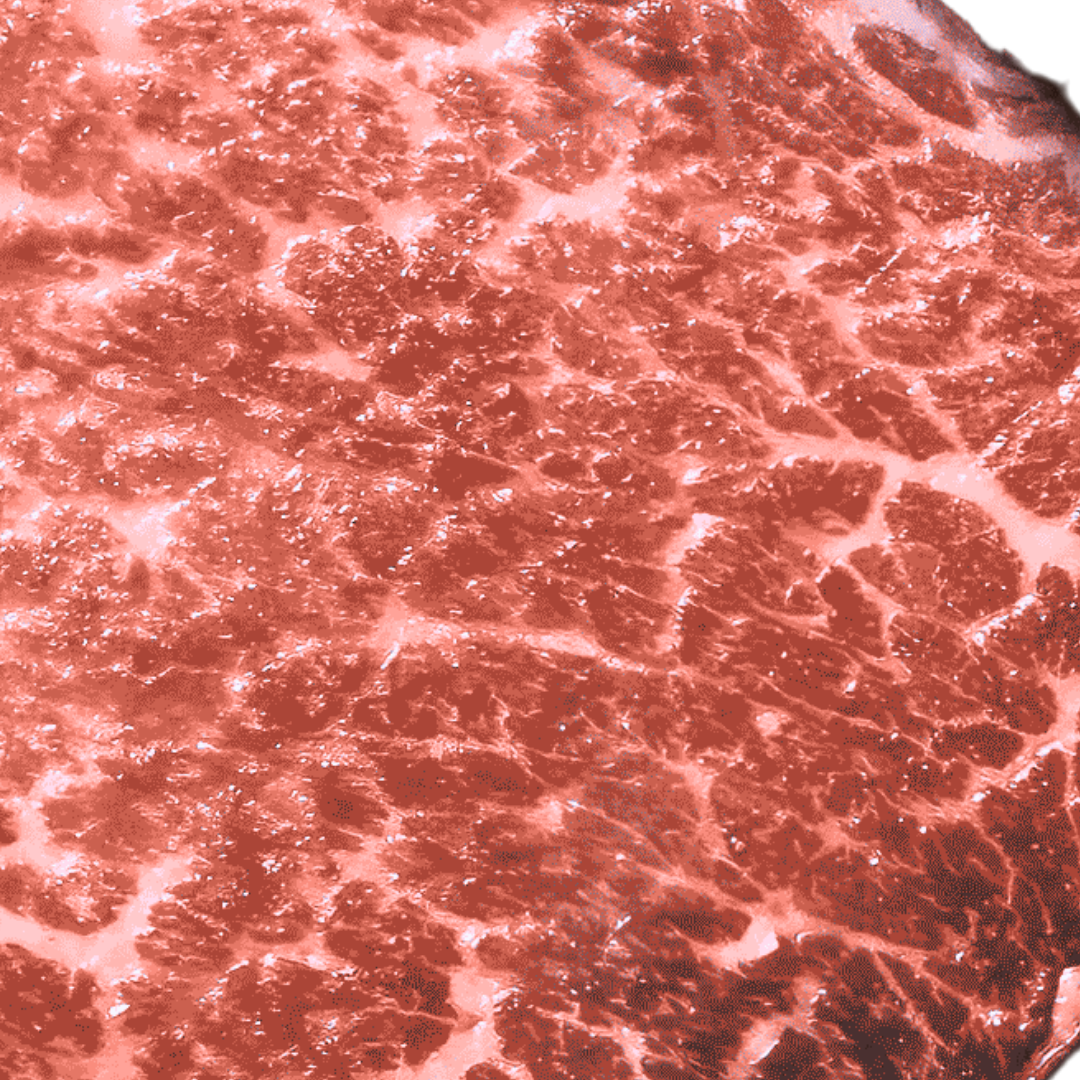 MIYAZAKI WAGYU A5, TENDERLOIN