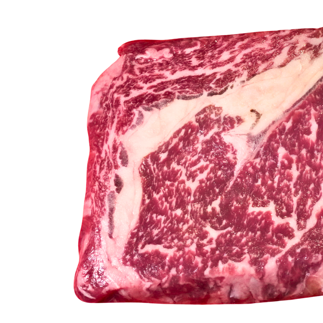 SOUTHERN RANGES SR4, MS4, RIBEYE