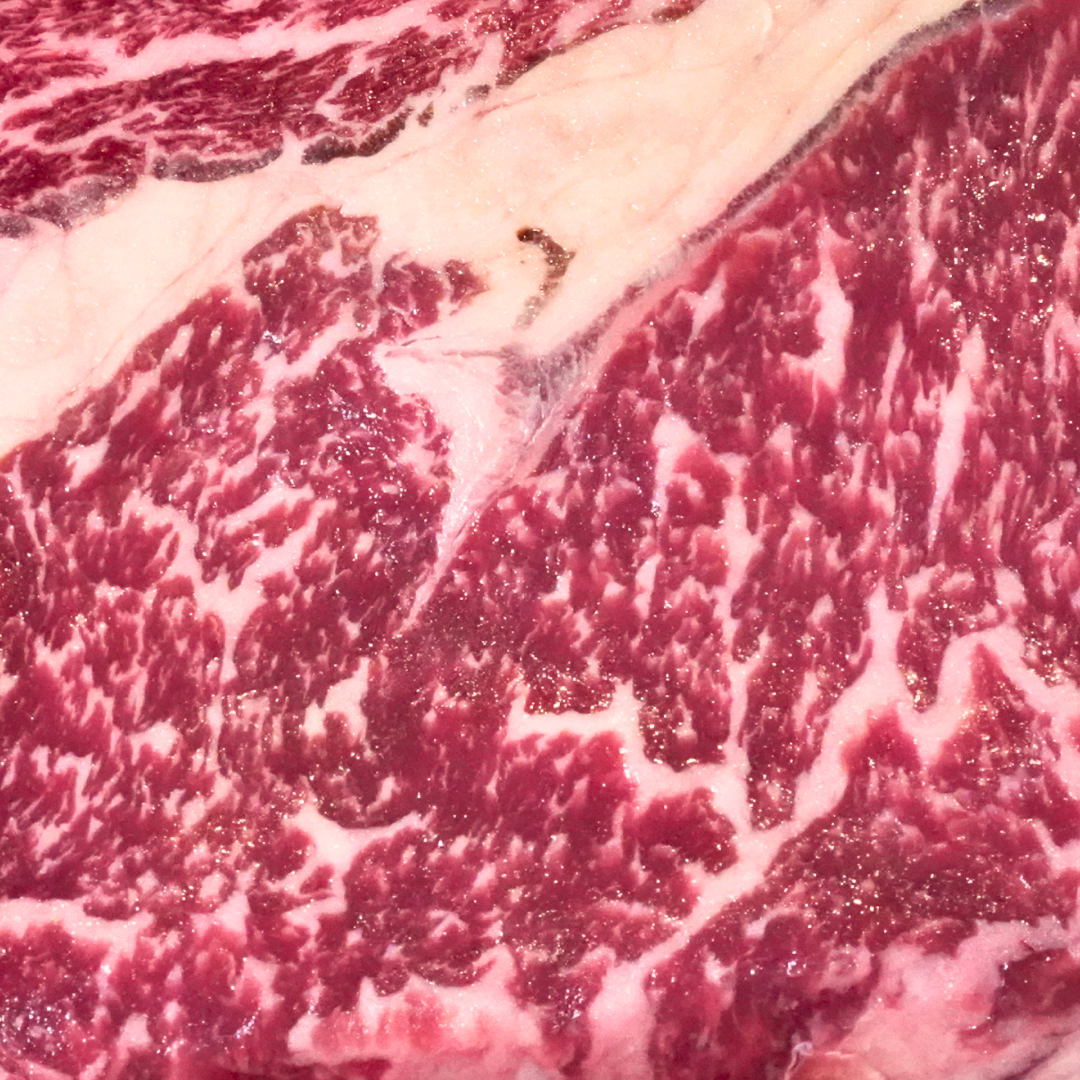 SOUTHERN RANGES SR4, MS4, RIBEYE
