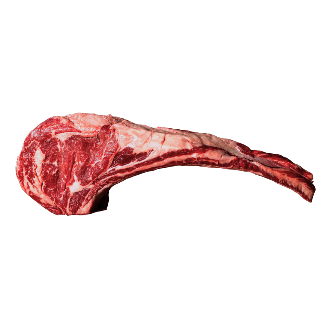 SOUTHERN RANGES SR4, MS4, TOMAHAWK