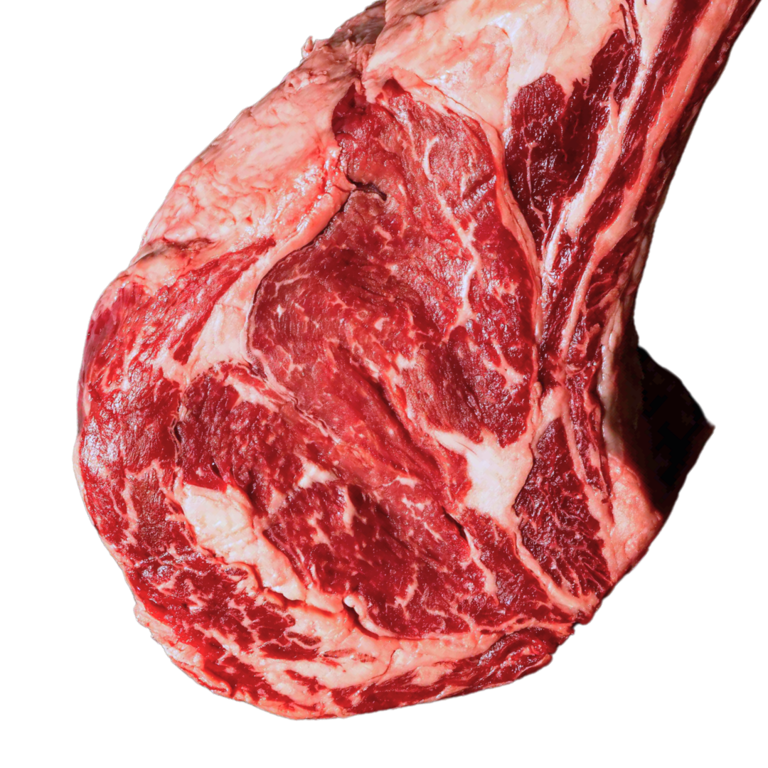 SOUTHERN RANGES SR4, MS4, TOMAHAWK