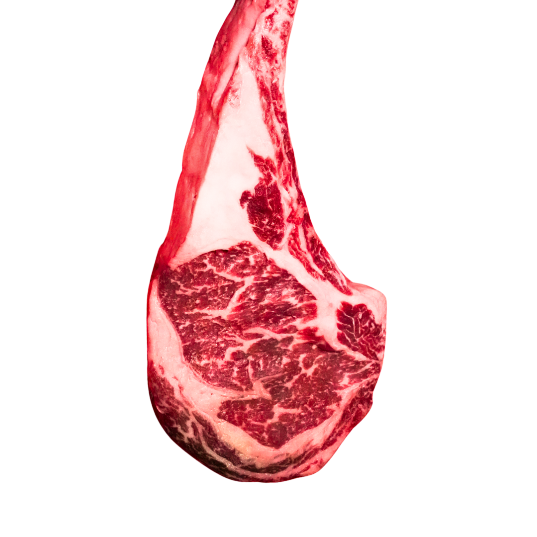 SHIMO WAGYU, MB5, TOMAHAWK