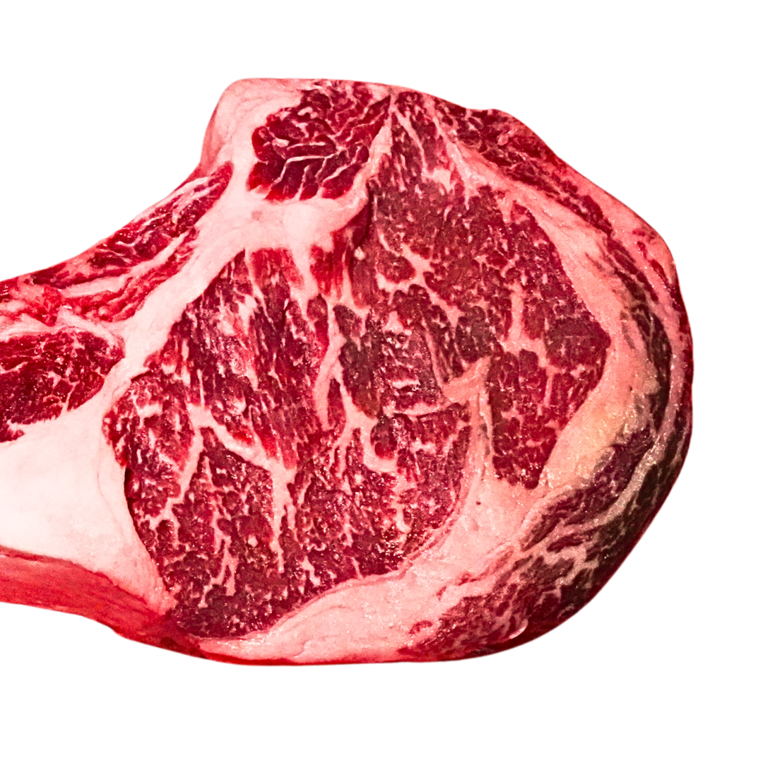 SHIMO WAGYU, MB5, TOMAHAWK