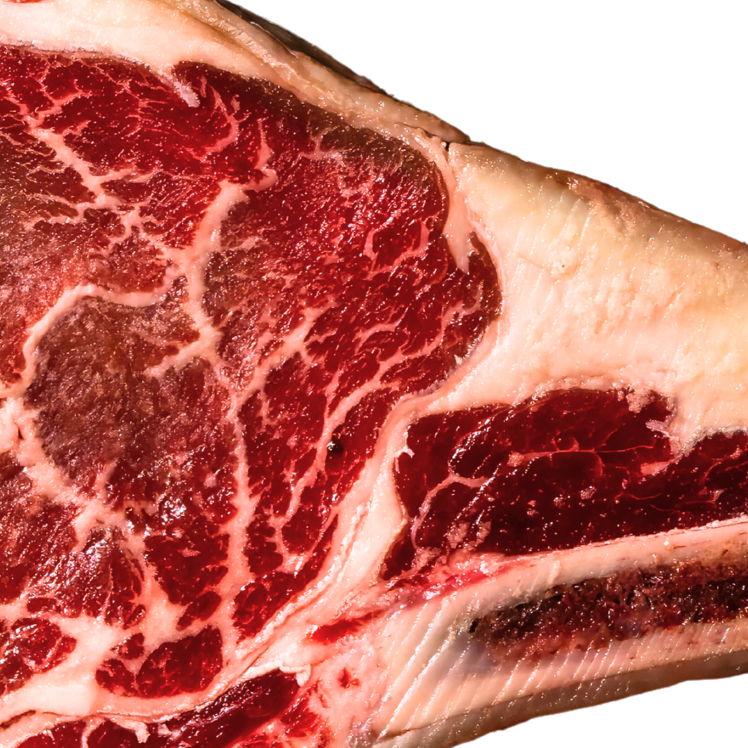WANDERER, BONE IN RIBEYE