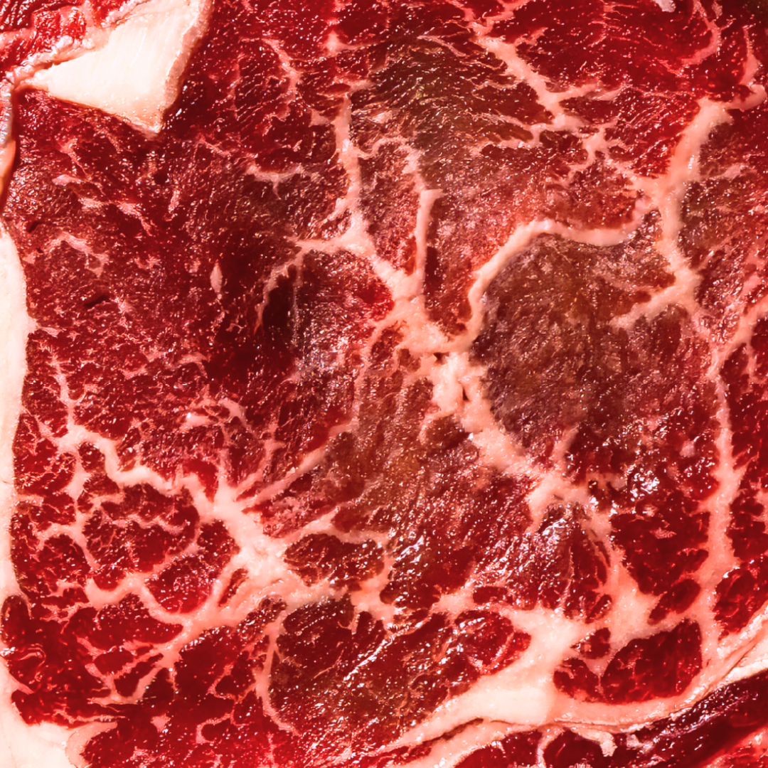 WANDERER, BONE IN RIBEYE