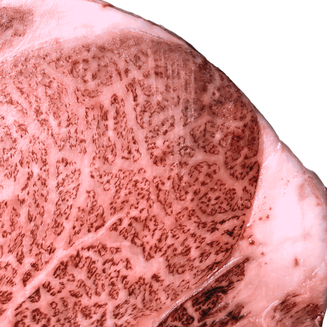 MIYAZAKI WAGYU A5, RIBEYE